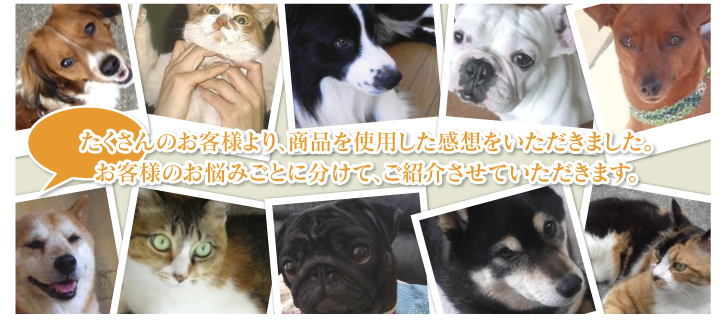 たくさんのお客様より、商品を使用した感想をいただきました。