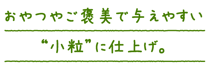 アレルギーのこでも安心して食べられる