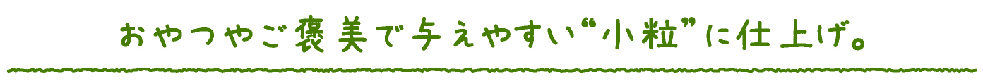 アレルギーのこでも安心して食べられる