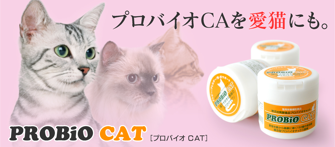 プロバイオcat