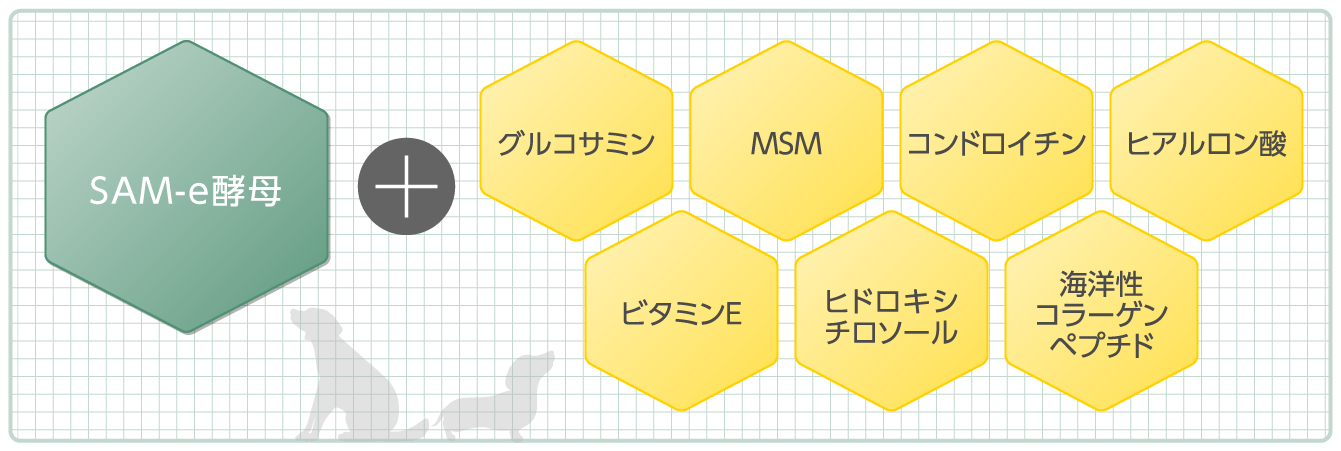 関節サポート成分チャート