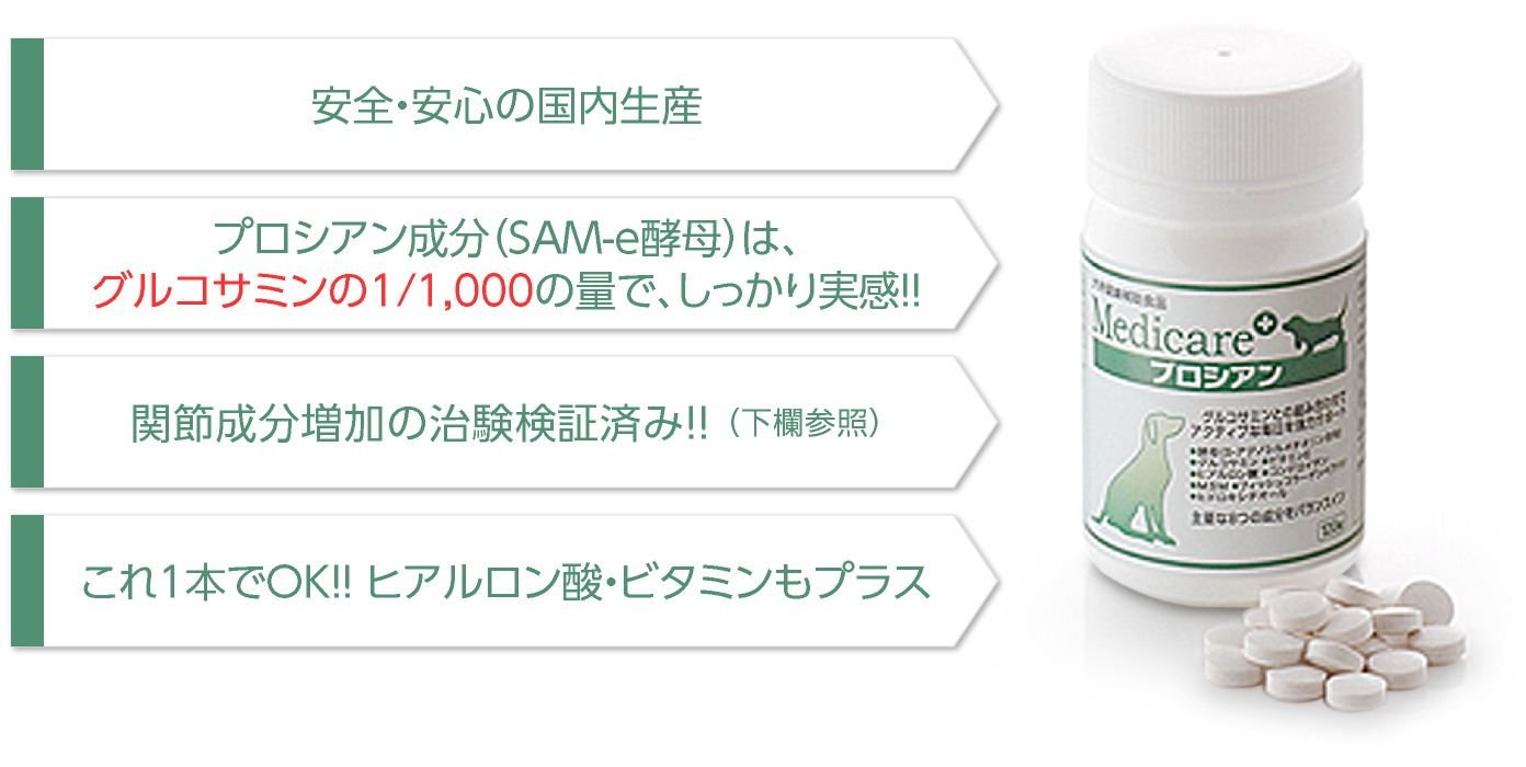 プロシアン｜犬のアレルギー、犬のアトピーや犬の病気（皮膚炎）対策は