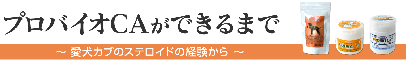 プロバイオCAができるまで