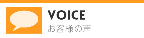 Voice