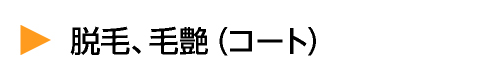 脱毛、毛艶（コート）